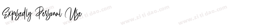 Exposedly Personal Use字体转换